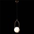 Подвесной светильник Loft IT Glob LOFT2595-A - изображение 6 Подвесной светильник Loft IT Glob LOFT2595-A - изображение 6