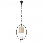 Подвесной светильник Loft IT Loft1029A-1