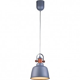 Подвесной светильник Lucia Tucci Industrial 1820.1 Sand Silver