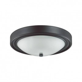 Настенно-потолочный светильник Lumion Nina 5260/2C