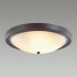 Настенно-потолочный светильник Lumion Nina 5260/4C - изображение 2 Настенно-потолочный светильник Lumion Nina 5260/4C - изображение 2