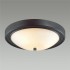 Настенно-потолочный светильник Lumion Nina 5260/3C - изображение 3 Настенно-потолочный светильник Lumion Nina 5260/3C - изображение 3