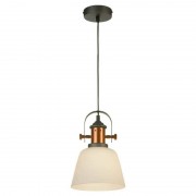 Подвесной светильник Lussole Loft GRLSP-9846