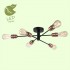 Потолочная люстра Lussole Lgo Huron GRLSP-8200 - изображение 4 Потолочная люстра Lussole Lgo Huron GRLSP-8200 - изображение 4