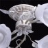 Потолочная люстра MW-Light Восторг 242014806 - изображение 11 Потолочная люстра MW-Light Восторг 242014806 - изображение 11