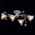 Потолочная люстра MW-Light Восторг 242014704 - изображение 12 Потолочная люстра MW-Light Восторг 242014704 - изображение 12