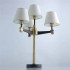 Настольная лампа MW-Light ДельРей 700033604 - изображение 2 Настольная лампа MW-Light ДельРей 700033604 - изображение 2
