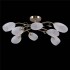 Потолочная люстра MW-Light Моника 372014108 - изображение 2 Потолочная люстра MW-Light Моника 372014108 - изображение 2