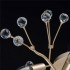 Потолочная люстра MW-Light Адриатика 280011810 - изображение 3 Потолочная люстра MW-Light Адриатика 280011810 - изображение 3