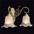 Бра MW-Light Моника 372022002 - изображение 3 Бра MW-Light Моника 372022002 - изображение 3