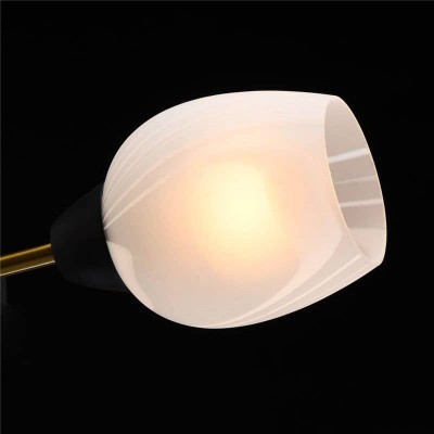 Потолочная люстра MW-Light Олимпия 638018406 - изображение 5 Потолочная люстра MW-Light Олимпия 638018406 - изображение 5
