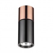 Потолочный светильник Odeon Light Duetta 3583/1C