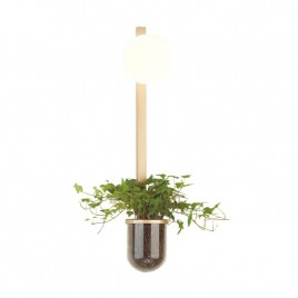 Настенный светильник Odeon Light Flower 4682/1WB