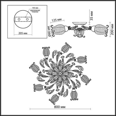 Потолочная люстра Odeon Light Ameli 2252/8C - изображение 3 Потолочная люстра Odeon Light Ameli 2252/8C - изображение 3