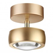 Потолочный светодиодный светильник Odeon Light Ottico 3874/10CL