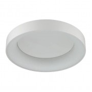 Потолочный светодиодный светильник Odeon Light Sole 4062/50CL