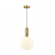 Подвесной светильник Odeon Light Okia 4672/1