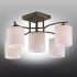 Потолочная люстра Omnilux Pisticci OML-55317-05 - изображение 2 Потолочная люстра Omnilux Pisticci OML-55317-05 - изображение 2
