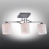 Потолочная люстра Omnilux Pisticci OML-55307-03 - изображение 2 Потолочная люстра Omnilux Pisticci OML-55307-03 - изображение 2