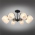 Потолочная люстра Omnilux Garda OML-65507-08 - изображение 6 Потолочная люстра Omnilux Garda OML-65507-08 - изображение 6