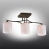 Потолочная люстра Omnilux Pisticci OML-55317-03 - изображение 2 Потолочная люстра Omnilux Pisticci OML-55317-03 - изображение 2