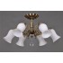 Потолочная люстра Omnilux OML-46007-06 - изображение 2 Потолочная люстра Omnilux OML-46007-06 - изображение 2