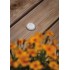 Ландшафтный светодиодный светильник Paulmann Floor downlight 94363 - изображение 4 Ландшафтный светодиодный светильник Paulmann Floor downlight 94363 - изображение 4