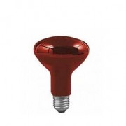 Лампа накаливания Paulmann Е27 100W инфракрасная 82966