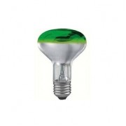 Лампа накаливания Paulmann R80 Е27 60W зеленая 25063