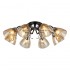 Потолочная люстра Rivoli Friederike 3089-308 Б0050318 - изображение 2 Потолочная люстра Rivoli Friederike 3089-308 Б0050318 - изображение 2