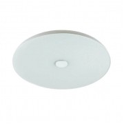Потолочный светодиодный светильник Sonex Roki Muzcolor 4629/CL