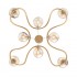 Подвесная люстра ST Luce Legatezza SL1502.203.08 - изображение 2 Подвесная люстра ST Luce Legatezza SL1502.203.08 - изображение 2