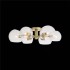 Потолочная люстра ST Luce Calmare SL434.202.06 - изображение 4 Потолочная люстра ST Luce Calmare SL434.202.06 - изображение 4