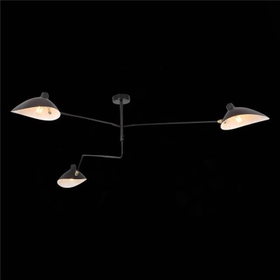 Потолочная люстра ST Luce Spruzzo SL305.402.03 - изображение 2 Потолочная люстра ST Luce Spruzzo SL305.402.03 - изображение 2