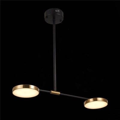 Подвесная светодиодная люстра ST Luce Farone SL1605.403.02 - изображение 2 Подвесная светодиодная люстра ST Luce Farone SL1605.403.02 - изображение 2