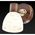 Спот Toplight Shayla TL3730Y-01BB - изображение 3 Спот Toplight Shayla TL3730Y-01BB - изображение 3