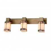 Спот Toplight Sylvia TL3770Y-03AB