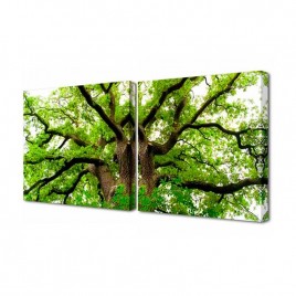 Модульная картина Toplight Природа 50х100см TL-M2029