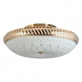 Накладной светильник Toplight Loreen TL1492Y-05GC