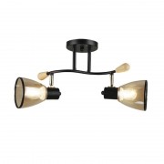 Спот Wedo Light Perri 66775.01.86.02