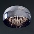 Потолочная люстра Zumaline Crystal C0076-06X-F4FZ - изображение 2 Потолочная люстра Zumaline Crystal C0076-06X-F4FZ - изображение 2